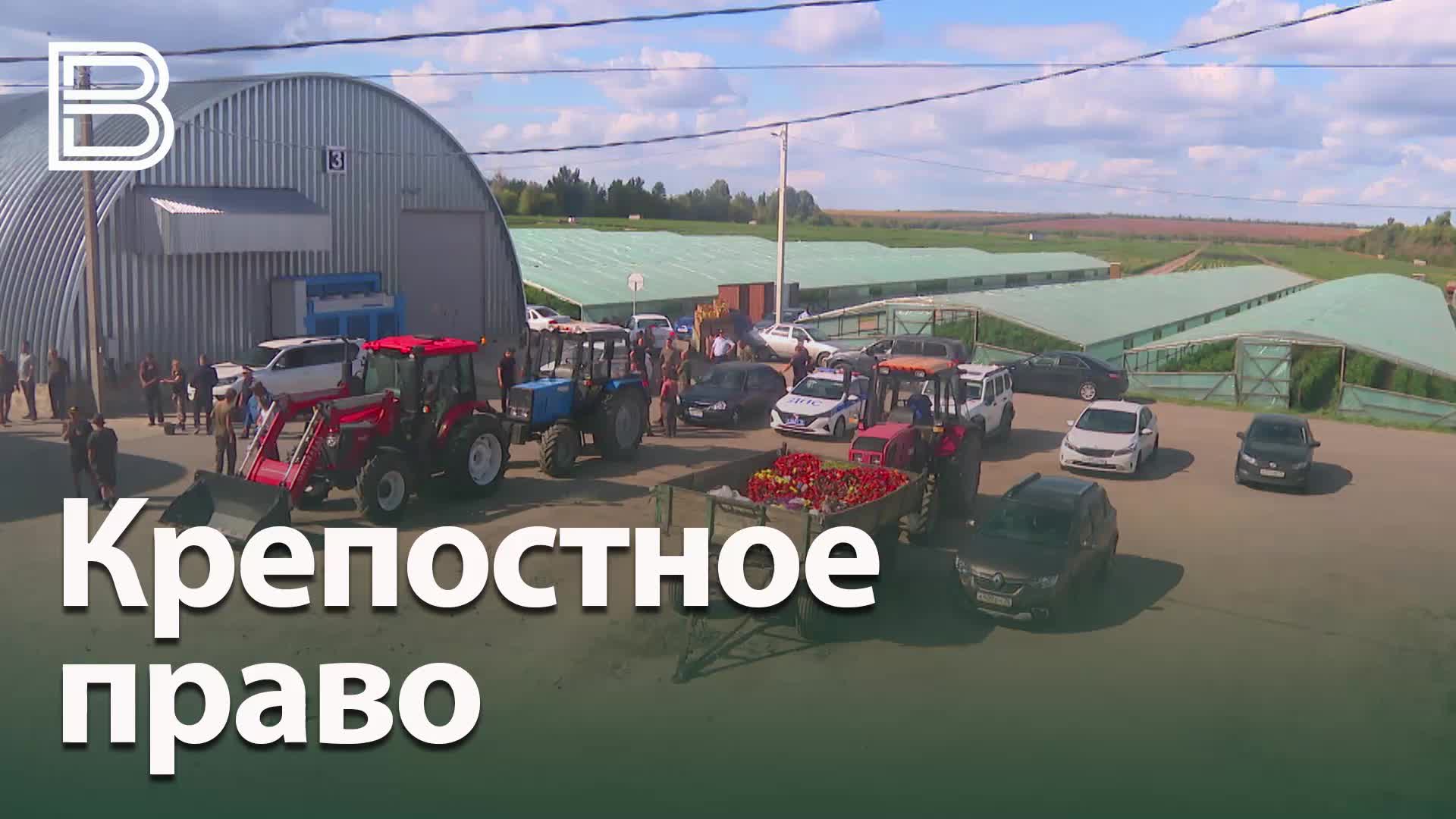 Проверка условий труда на ферме в Воронежской области после сообщений о рабском труде