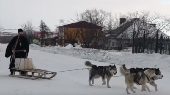 Батюшка на Колыме передвигается на собачьей упряжке В посёлке Эвенск на севере Магаданской области местные привыкли к тому что по улицам ходят не только снегоходы Здесь служит священник который передвигается на собачьей упряжке и для этих мест это выглядит скорее практично чем экзотично На отца Андрея обратил внимание зампред правительства Магаданской области Юрий Гришан во время рабочей поездки в Северо Эвенский округ Кадры с батюшкой уверенно управляющим упряжкой он снял на телефон и позже опубликовал Отец Андрей служит настоятелем храма Серафима Саровского построенного в Эвенске в 2017 году Для посёлка церковь давно стала не только местом богослужений но и центром общинной жизни В северных условиях собачья упряжка для священника оказывается надёжнее любой техники Собаки для него не только транспорт По выходным и в праздники батюшка катает на упряжке местных детей В небольшом посёлке где развлечений немного такие поездки быстро стали важной частью жизни Ребята ждут их с нетерпением а взрослые воспринимают как естественное продолжение местных традиций Помимо службы отец Андрей занимается краеведением Он изучает историю православия в Северо Эвенском округе и написал книгу о том как вера приходила в эти северные земли Экземпляр с редкими фотографиями он подарил Юрию Гришану во время встречи Магадан