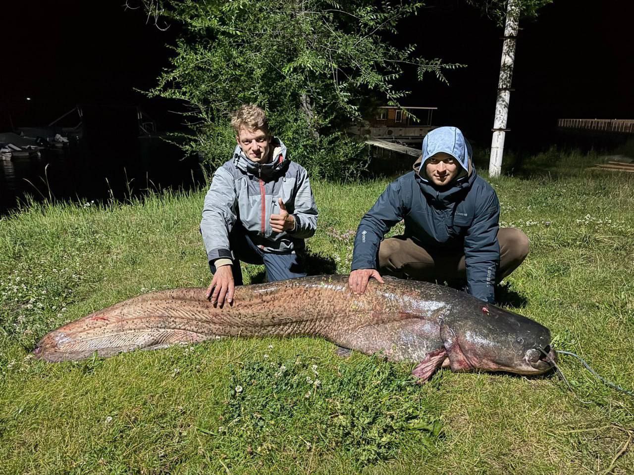 Рыбак из Казани поймал на реке Кама сома, который по размерам сопоставим с человеком: 225 см в длину и весит 79 кг Подписаться Сообщить новость