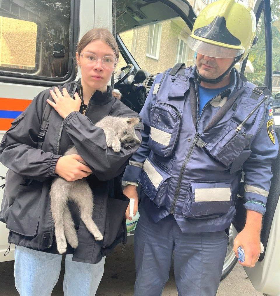 Спасатели помогли котику который на два дня застрял в окне Пушистик видимо решил погулять и выпрыгнул в открытое окно но застрял между рамой и козырьком на пятом этаже Бедняжка просидел там два дня и громко мяукал пока его не заметили соседи которые вызвали спасателей К счастью кота достали УГОиЧС города Челябинска Подписаться Дарим ужин в ресторане