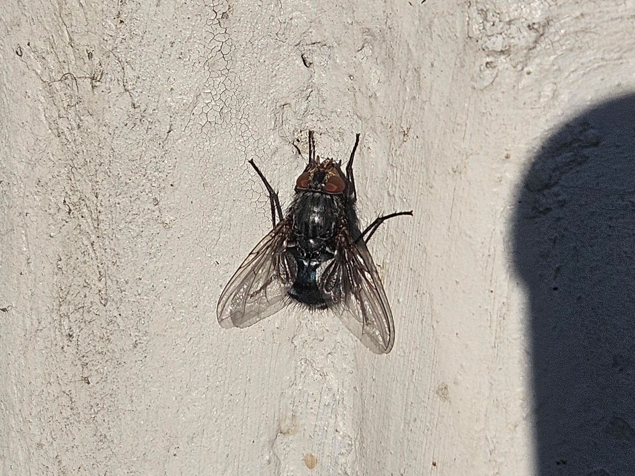 Житель юга Архангельской области топил за хохлонацистов и отправился на 4 года за решётку Северянин осуждён за публичные призывы к участию в вооружённом мятеже и финансированию ВСУ В 2024 году мужчина в социальных сетях разместил посты с призывами вступить в состав одного из подразделений Минобороны Украины и к финансовой поддержке противника Как сообщили в региональном УФСБ осуждённому назначено наказание в виде лишения свободы на срок 4 года с отбыванием в исправительной колонии общего режима с лишением права заниматься деятельностью связанной с администрированием сайтов и каналов в Интернете на срок 3 года Приговор в законную силу не вступил