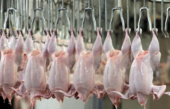 Черкизово отчиталась о досрочном выполнении предписания ФАС по выводу продукции на биржу Представитель группы сообщил что с момента старта торгов мясом птицы компания провела 70 торговых сессий и 433 аукциона а биржевой оборот составил более 8 3 тыс тонн Более того агрохолдинг добровольно вывел на биржу свинину и индейку а совокупный объем торгов по этим трем категориям превысил 14 6 тысяч тонн Напомним в декабре 2024 года в рамках одобрения сделки по приобретению ООО Руском ФАС обязала Черкизово начать вывод продукции на биржу в середине 2025 года и в течение четырех лет вывести на биржу не менее 10 от общего объема реализуемой на внутреннем рынке продукции под регулирование попали основные категории такие как тушка цыпленка бройлера грудка с кожей на кости голени бедро особое с крестцом Посмотрим на цифры По итогам 2024 года Черкизово реализовала 921 тыс тонн куриного мяса Если вычесть экспорт около 100 тыс тонн то 10 от оставшегося объема составят не менее 80 тыс тонн Даже если вычесть другие категории не попавшие под регулирование итоговый целевой объем для вывода на биржу все равно будет существенно превышать текущие 8 3 тыс тонн о которых группа отчиталась Вывод сельхозпродукции на биржу активно лоббируют далекие от сельского хозяйства ведомства Банк России Минфин и ФАС Они убеждают отрасль что это позволит формировать прозрачные ценовые индикаторы и даст возможность небольшим переработчикам закупать сырье у крупнейших производителей Сами производители и Минсельхоз с этим не согласны справедливо полагая что биржевая торговля приведет к дополнительным затратам но при этом не позволит сократить цепочку участников сделки так как участие посредников на бирже никак не ограничено Агрономика