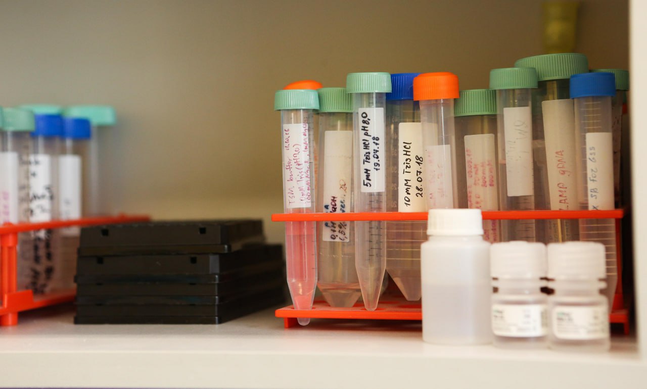 Уникальный препарат от сахарного диабета разрабатывают новосибирцы Эффективную мультимолекулу позволяющую бороться сразу с несколькими причинами сахарного диабета второго типа разработали в новосибирском Академгородке У препарата нет аналогов в России Уникальное средство предназначено в первую очередь для терапии метаболического синдрома который приводит к развитию тяжёлых сердечно сосудистых заболеваний и сахарного диабета Кроме воздействия на липидный профиль уровень холестерина ожирение высокое давление лекарство снижает уровень глюкозы в крови Эксперименты на мышах показали лекарство снижают уровень глюкозы и холестерина в крови и не оказывают негативного воздействия на печень Сейчас учёные проводят исследования на клеточных тест системах Эти эксперименты критически важны так как сильная активация PPAR ɣ может сопровождаться кардиотоксичностью В случае успеха это лекарство может стать третьим в мире зарегистрированным препаратом такого класса новосибирским учёным за такие разработки Подписаться на канал