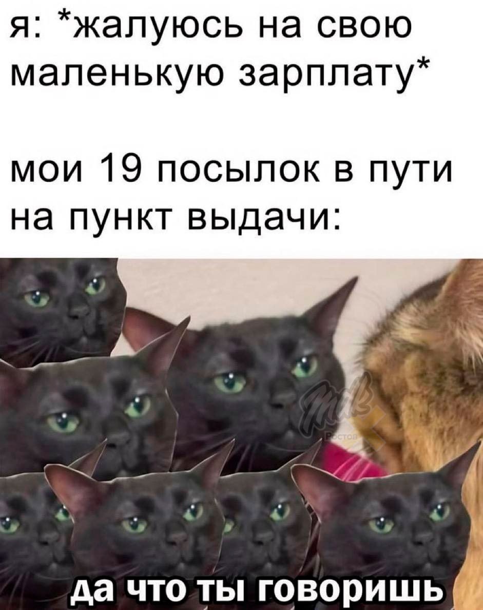 Исследование: большинство россиян выбирают одежду и обувь онлайн  67% выбирают одежду в интернете, 64% там же и покупают. С обувью сложнее: половина присматривает на сайтах, но 58% всё равно топают в магазины, чтобы потом не ходить как пингвин.  А вы где затариваетесь?  MDK Ростов