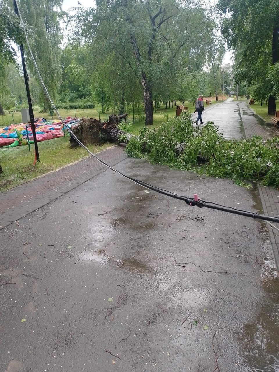 Последствия непогоды устраняют в челябинском Саду Победы Накануне из-за сильных порывов ветра в парке упали несколько деревьев. Специалисты восстанавливают поврежденные линии освещения. Аллеи уже расчистили. Напомним, в регионе продолжает действовать штормовое предупреждение. В отдельных районах возможны ливни, град и грозы со шквалистым усилением ветра до 25 м/с и более. Фото: МАУ "Сад Победы" Вести Южный Урал Челябинск