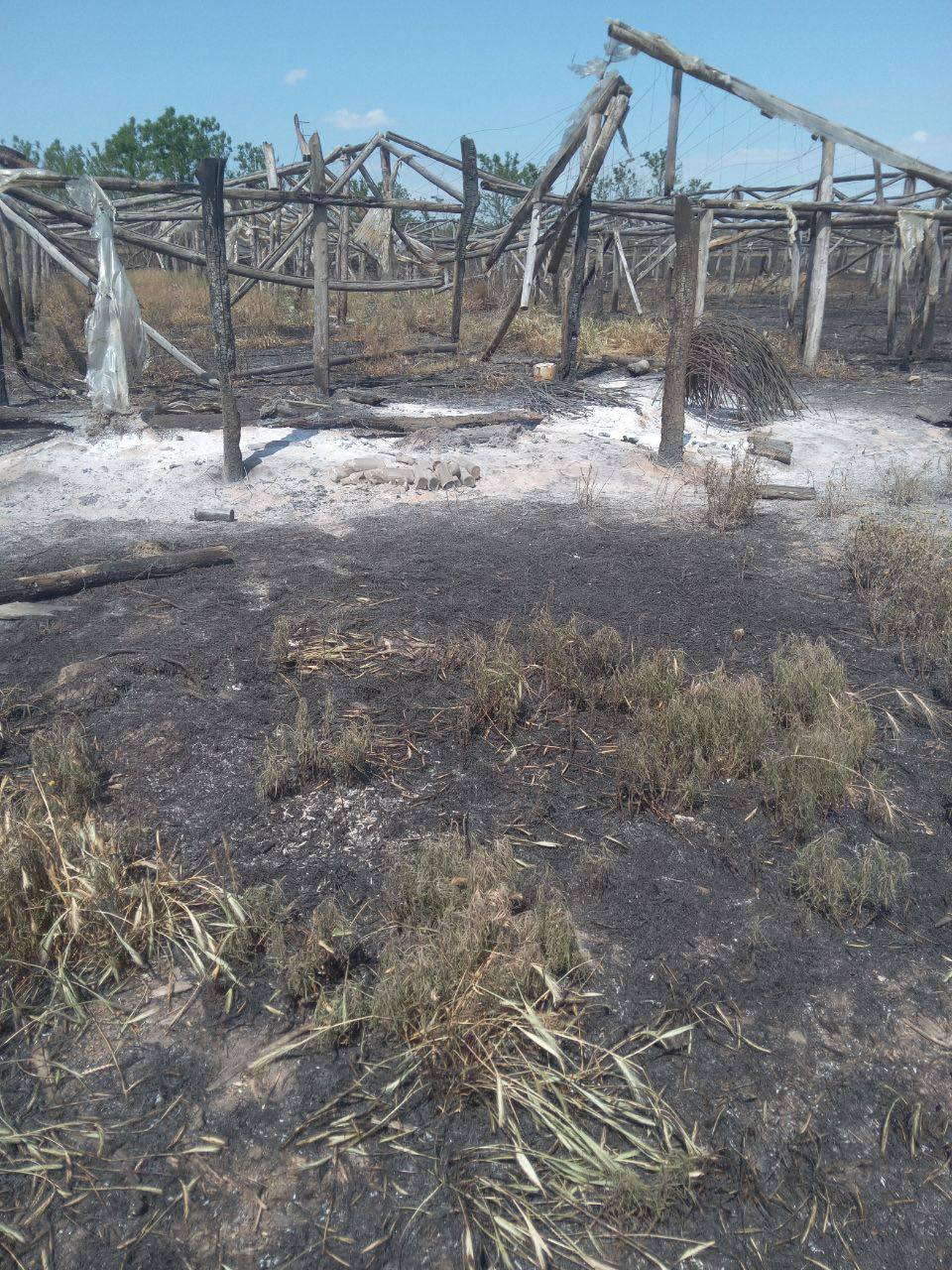 Сальдо рассказал об обстреле ВСУ гражданских объектов в Херсонской области ВСУ обстреляли гражданские объекты в Херсонской области, сообщил губернатор Владимир Сальдо. Под обстрел попали Алешкинский, Голопристанский, Горностаевский и другие округа. Обстрелы велись по жилым кварталам и критической инфраструктуре. В селе Пролетарка ранен мирный житель. В Раденске сгорели хозяйственные постройки — пожарные не могли приступить к ликвидации из-за угрозы со стороны БПЛА. Из-за обстрела обесточена подстанция 150 кВ «Новотроицкое». Без света и воды более 120 тысяч человек в 192 населенных пунктах 7 муниципальных округов. Все соцобъекты переведены на резервное питание. На месте работают бригады «Херсонэнерго», «Облводоканала» и МЧС. Переподключаются линии, подвозится вода. В трех районах произошли лесные пожары. Площадь возгораний — до 2,7 гектаров. Огонь подходил вплотную к жилым домам, но распространение удалось остановить. Также под обстрелы попали: Алешки, Каховка, Новая Каховка, Корсунка, Князе-Григорьевка, Новая Маячка и Чулаковка. Фото: телеграм-канал Владимира Сальдо , VK и ОК и читайте новости на нашем сайте