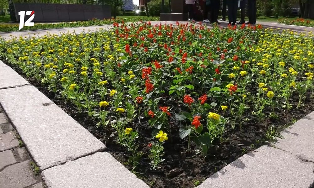 В Омске продолжается подготовка к выставке «Флора»  Специалисты высадят около 20 тысяч многолетних и 200 тысяч однолетних цветов: мордовники, лихнисы, вербейники, канны, дербенники и другие. Некоторые многолетние растения после завершения выставки вернутся в питомник и в дальнейшем будут использованы для озеленения городских улиц.  Напомним, центральной композицией выставки «Флора» станет «Вечный огонь» высотой в 6,2 м. Клумба в форме звезды, а также внешние элементы спиралевидных языков пламени будут украшены алыми розами и гвоздиками, красно-оранжево-жёлтыми мелкоцветковыми хризантемами, алыми и жёлтыми гребенчатыми целозиями.
