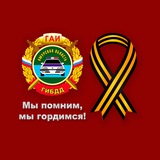 Аватар Телеграм канала: Госавтоинспекция Амурской области