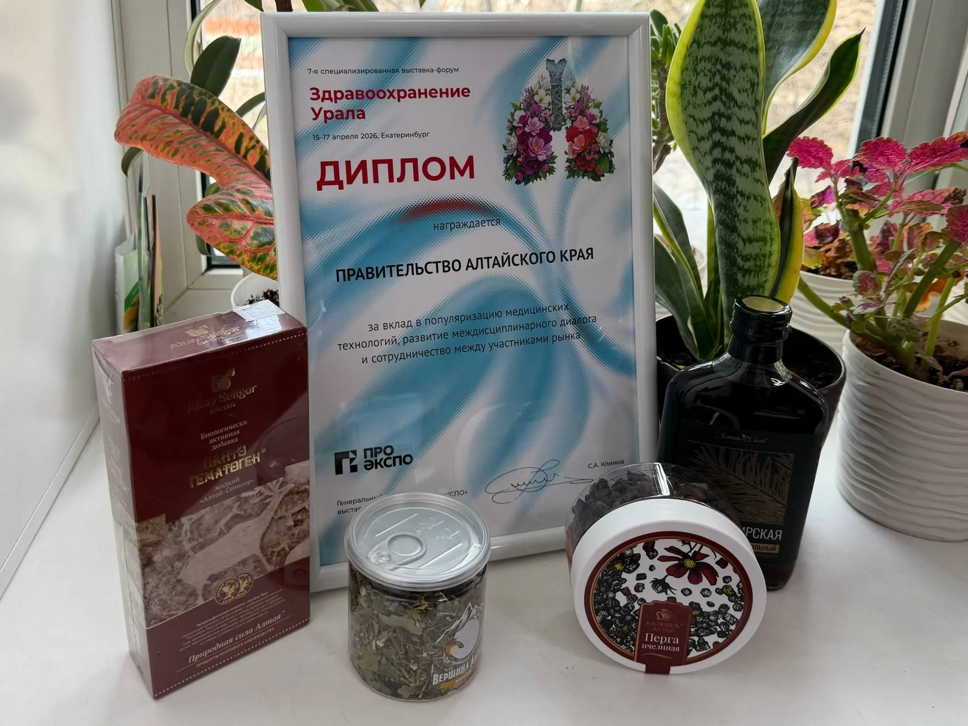 Правительство Алтайского края отмечено дипломом выставки Здравоохранение Урала 2026 Правительство Алтайского края удостоено диплома выставки Здравоохранение Урала 2026 за вклад в популяризацию медицинских технологий развитие междисциплинарного диалога и сотрудничество между участниками рынка Напомним на площадке выставки в Екатеринбурге был развернут коллективный стенд региона где свою продукцию представили восемь алтайских компаний В их числе Алтай Селигор Гринфито Пантопроект Фармгрупп научно производственная агрофирма Пчела и человек фармацевтический завод Гален Алфит Плюс и Катунь Олеум Экспозиция Алтайского края объединила широкий спектр продукции от травяных чаев бальзамов и медовой продукции до биологически активных добавок витаминных комплексов и специализированной косметики Отдельное внимание было уделено разработкам на основе природного сырья в том числе пантовой продукции и растительных экстрактов Также в рамках деловой программы свою деятельность представили специалисты Федерального Алтайского научного центра агробиотехнологий презентовав разработки в сфере БАД на основе пантов оленей В составе делегации под руководством заместителя Председателя Правительства Алтайского края Александра Лукьянова также работали представители Алтайского государственного университета Алтайского государственного медицинского университета Администрации г Белокуриха АО санаторий Алтай и ООО Рустелетех Подробнее на сайте Алтайпищепрома Фоторепортаж ТГ ВК ОК MAX