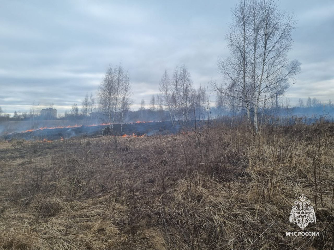 В Орле на Раздольной тушат сухую траву   Сначала года на Орловщине произошло около 200 загораний сухой травы.   Только за прошедшие сутки на территории области зафиксировано 33 выезда на ликвидацию возгораний сухой растительности в Орловском МО, Малоархангельском, Колпнянском, Ливенском, Шаблыкинском, Должанском, Троснянском и  Залегошенском районах на площади более 15 га.   Напомним, что штраф за нарушение правил пожарной безопасности при сжигании сухой травы и мусора на граждан от 5 до 15 тысяч рублей.    Уже в этом году инспекторами госпожнадзора составлено порядка 50 протоколов.   Не жги сухую траву, не допускай трагедии.