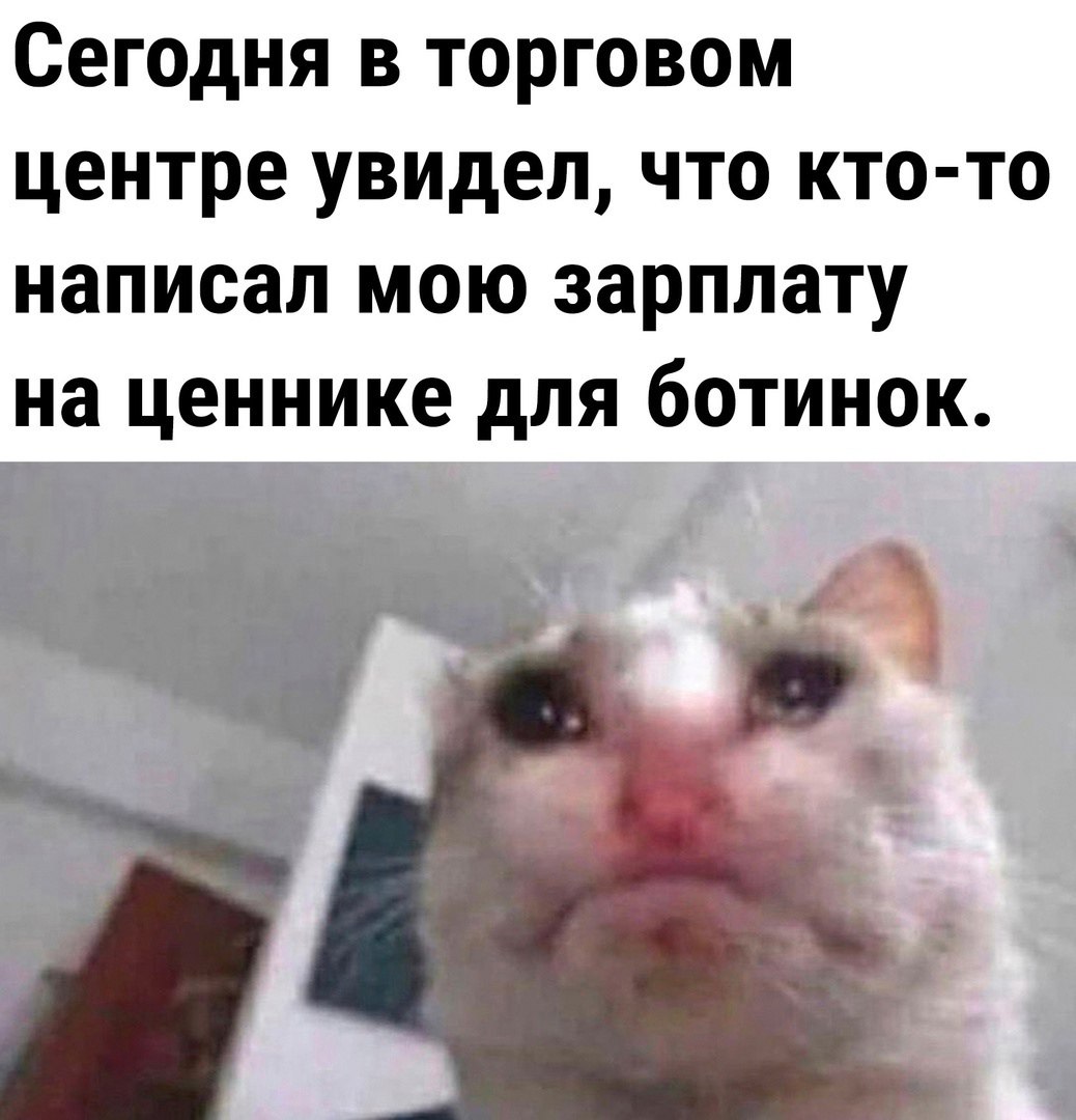 За последние три года обувь в России подорожала на 59 а одежда на 36 пишет Коммерсантъ Однако в последнее время рост цен на эти товары начал замедляться по итогам трех кварталов 2025 года он оказался примерно равен инфляции 6 9 Одной из основных причин сдержанного роста цен на рынке fashion ритейла эксперты называют общее охлаждение потребительского спроса и снижение покупательской способности Кроме того рост цен обычно зависит от скачков курса валют а сейчас рубль относительно стабилен По оценкам экспертов уже с начала 2026 года на рынок начнут сказываться новые факторы рост налоговой нагрузки и таможенных платежей
