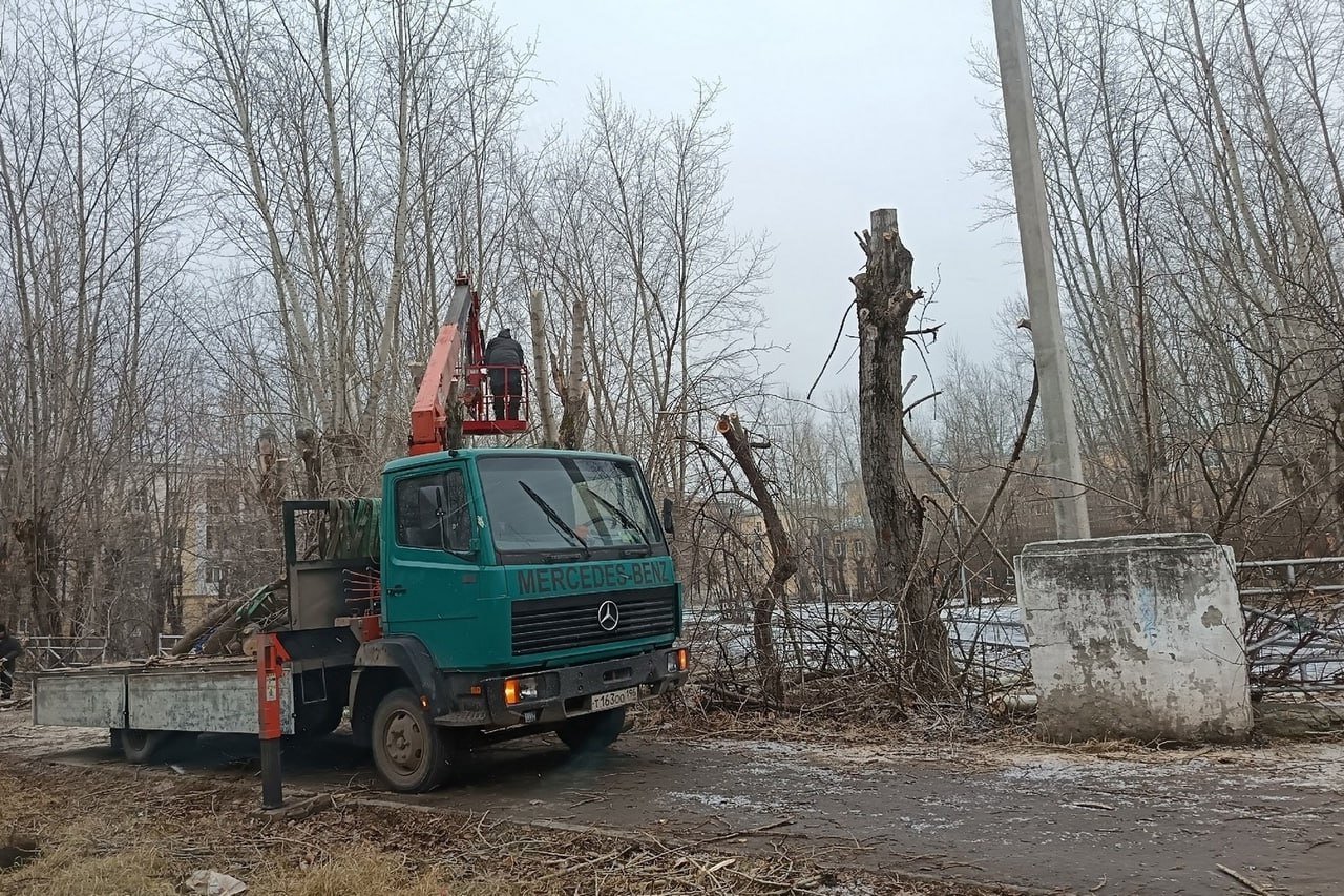 В Каменске-Уральском продолжается кронирование деревьев. Сейчас работы идут на улицах Стахановской, Попова, Гагарина, 2-й Рабочей  Ранее работы были выполнены на улицах Октябрьской, Физкультурников, Лермонтова и ряде других. Помимо кронирования ведется и валка аварийных, представляющих опасность деревьев.  Также рабочие занимаются удалением веток, которые мешают проезду спецтехники для очистки дорог и тротуаров в зимнее время года. Работы уже выполнены на улице Репина, частично на улице Суворова, а также на улице Калинина и ряде других. Сейчас ведется обрезка на улице Заводской. В планах также участок между Старым Каменском и поселком Ленинский.    пресс-служба администрации Каменска-Уральского   Подписаться на «ОГ» Прислать новость Поддержать канал