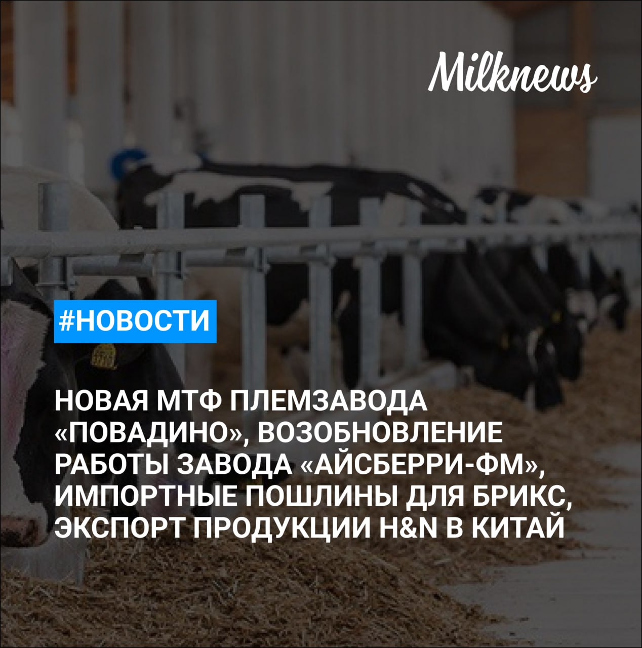 Племзавод «Повадино» построит молочно-товарную ферму за 900 млн руб. к концу 2025 года Тутаевский завод мороженого «Айсберри-ФМ» возобновил работу 8 июля Лукашенко рассказал, как Путин угостил его козьим молоком Трамп заявил, что введет импортные пошлины в размере 10% в отношении членов БРИКС H&N планирует экспортировать до 150 т продукции в Китай в 2025 году
