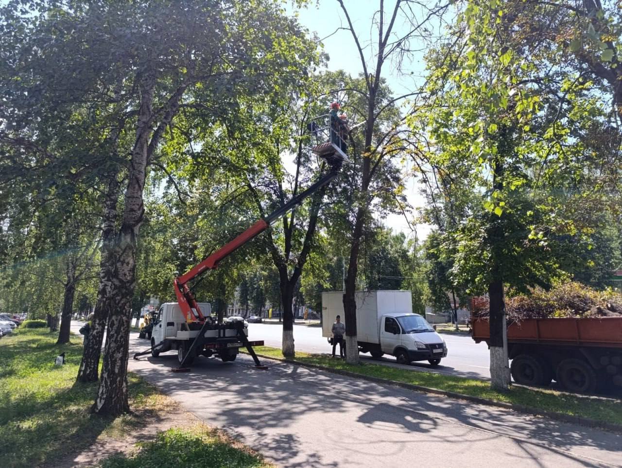Завтра на проспекте Октября будут рубить деревья.  Будут сносить аварийные деревья и сухостой. Улучшат состояние зеленых зон на проспекте Октября 137, 147 и 155.    Подписаться   Прислать новость