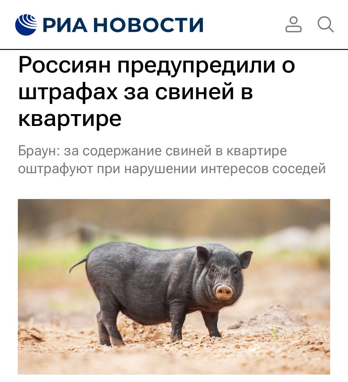 Россиян могут оштрафовать за содержание свиней в квартире предупредили юристы Куры свиньи или козы в городской квартире не запрещены но если это нарушает интересы соседей то любителю живности может грозить наказание в виде штрафа до 15 тыс investingcorp