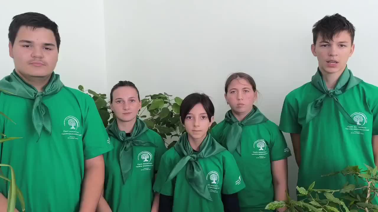 Экологические инициативы в Архангельской области: конференция и фестиваль объединяют усилия