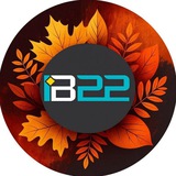 Аватар Телеграм канала: Barnaul 22