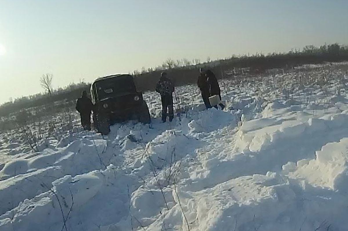 Четверых амурчан с оружием и мертвыми косулями поймали в Завитинском заказнике  Первую в этом году охоту браконьеров на территории заказников Приамурья выявили инспекторы областного охотнадзора. Четверых жителей поселка Талакан с оружием и мясом двух косуль в вездеходе обнаружили на выезде с Завитинского заказника.   Помимо санкций за браконьерство, нарушители заплатят компенсацию за вред природе — 560 тысяч рублей.