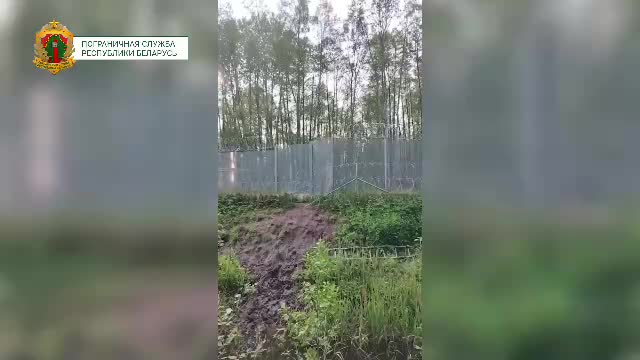Сомалиец с гангреной найден у границы Латвии и Беларуси после жестокого обращения