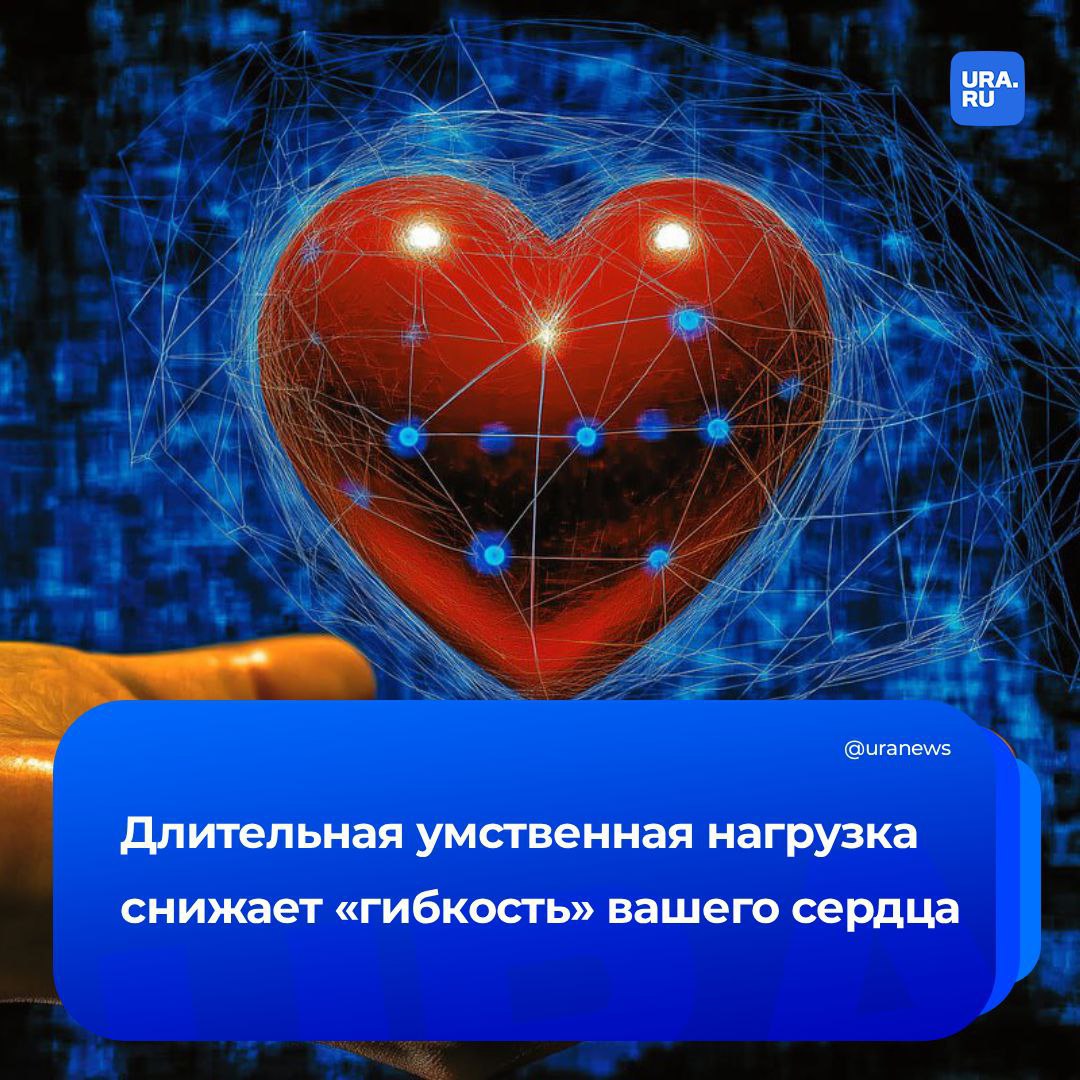 Рабочая рутина снижает гибкость сердца Главный кардиолог кардиоцентра имени Вишневского Гуляев предупредил что длительная умственная нагрузка влияет не только на психическое состояние человека но и может привести к развитию гипертонии и аритмии Риски появления заболеваний увеличиваются из за повышения тонуса симпатической нервной системы учащения сердечного ритма и нарушения его вариабельности А у предрасположенных людей вырастает шанс развития стресс индуцированных аритмий и ишемии Причина в том что после четырех пяти часов сложной умственной работы меняется обмен в префронтальной коре и повышается уровень глутамата медиатора связанного с утомлением Поэтому лучше ограничивать такую деятельность в рамках нескольких часов с паузами каждые 60 90 минут Подписаться на URA RU мы в MAX