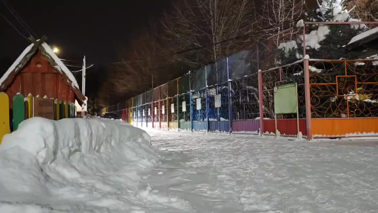 Барнаульский зоопарк пополняется редкими видами: зубр Мурашик ищет невесту, а росомаха прибыла из Москвы