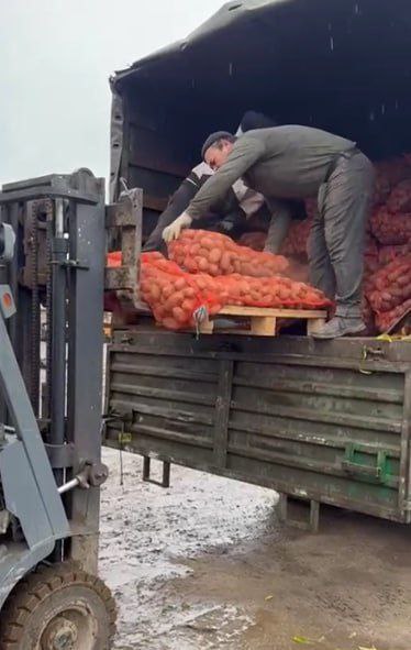 В регионе произведено более 700 тысяч штук мини клубней картофеля Благодаря качественной работе растениеводческих хозяйств область демонстрирует уверенный рост в первичном семеноводстве картофеля Производством семян картофеля на безвирусной основе занимаются четыре из шести семеноводческих хозяйств Объем производства мини клубней картофеля в 2025 году достиг 707 тысяч штук что превышает показатель 2024 года 700 тыс штук В 2025 году из областного бюджета было выделено более 4 7 млн рублей на производство мини клубней картофеля Эти средства помогают модернизировать производство закупать новое оборудование и повышать квалификацию персонала В министерстве сельского хозяйства региона отметили что в 2025 году Новгородская область заняла 1 место в Северо Западном федеральном округе по валовому производству картофеля