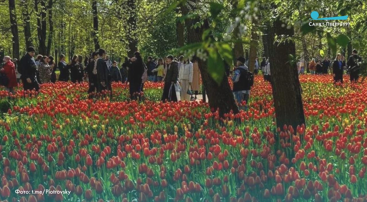 Фестиваль тюльпанов на Елагином острове, стартовавший 17 мая, посетили уже сто тысяч человек. В этом году в парке высадили рекордное количество цветов — более 251 тысячи луковиц. Программа фестиваля на минувших выходных была посвящена одному из первых владельцев острова — Ивану Елагину. ВКонтакте Одноклассниках