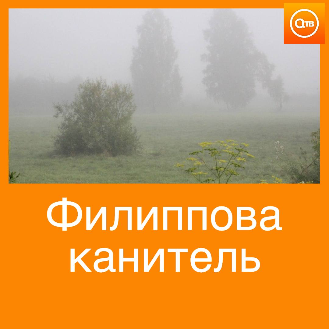 В конце октября 24 числа согласно народному календарю отмечается Филиппова канитель В этот день принято было гадать на семейное благосостояние по изменениям погоды Если на Филиппову канитель выпадал и не таял снег то семью весной ждал неплохой доход На Филиппову канитель наблюдали за приметами предсказывающими погоду если днем выпадал снег ждали суровую снежную зиму туман предвещал оттепель а листопад сулил непростой год