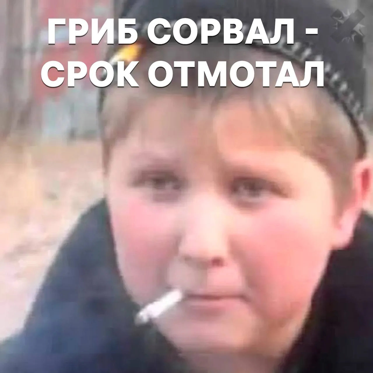 За грибы можно получить ШТРАФ или СРОК В России грибников могут наказать если они соберут грибы не там или не те Особенно рискованно ходить в заповедники и трогать краснокнижные виды В отдельных случаях за такую тихую охоту грозит до 4 лет тюрьмы и штраф до миллиона рублей грибной сезон отменяется беру только маринованные из банки НМШ