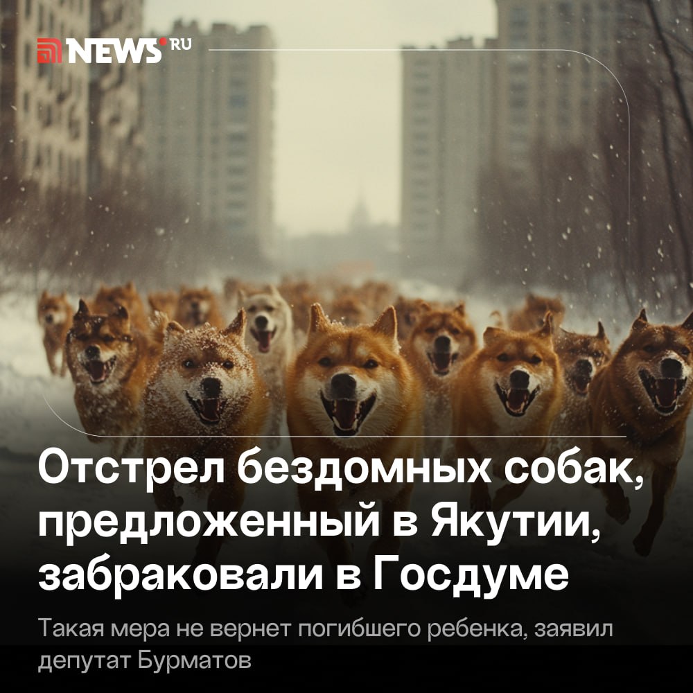 Отстрел собак не предотвратит нападений на людей, заявили в Госдуме.   После жуткой трагедии в начале октября, когда собаки загрызли 12-летнюю девочку в Якутии, в местном парламенте предложили решать проблему радикально и отстреливать животных.   С этим не согласны в Госдуме и считают, что закон, который должен был защитить граждан, не работал в республике. Району, где произошло нападение, было выделено 10 миллионов рублей на постройку приюта, но деньги не освоены, рассказал NEWS.ru депутат Владимир Бурматов.  «Региональный закон о регулировании численности безнадзорных животных на момент трагедии не работал, потому что его оспорили в суде сами жители Якутии. Как минимум часть собак, которые были виновниками этой трагедии, оказались владельческими, их выпускали побегать. Теперь давайте посмотрим: неработающий региональный закон, который был написан так, что его оспорили сами жители. Вот этим надо заниматься. Почему выделенные деньги не освоены? Это как?», — заявил Бурматов.  Громкие заявления об отстреле собак ребенка не вернут и других трагедий не предотвратят, считает зампред комитета ГД по экологии. Ранее в отношении главы поселка Чульман возбудили уголовное дело о халатности: девочка, на которую напала стая собак, скончалась в больнице.