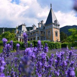 Массандровский дворец | Massandra palace