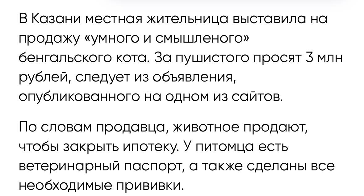 В Казани женщина решила продать «умного» кота за 3 млн рублей, чтобы закрыть ипотеку «Если нужно, кот ловит мышей, птичек, лягушек и не ест их! Приносит хозяину как добычу», – говорится в сообщении. Вот до чего доводят ваши ипотеки…
