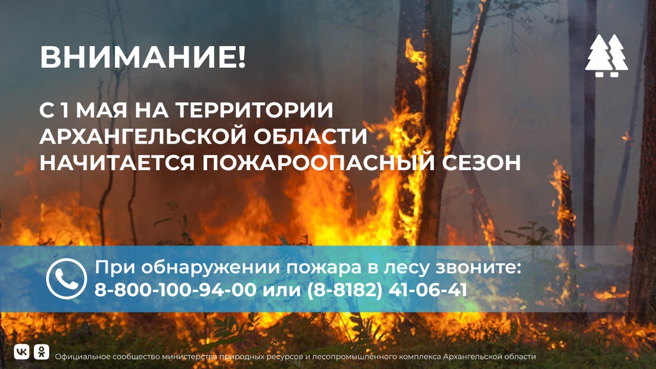 На территории Архангельской области 1 мая начинается пожароопасный сезон В 2025 году общая группировка сил для тушения лесных пожаров составит 2700 человек и 1700 единиц техники. В Поморье будут работать 10 пожарно-химических станций третьего типа, 2 пункта сосредоточения противопожарного инвентаря, 9 авиаотделений, оснащенных необходимой техникой и оборудованием. Меры по сохранению и защите лесов предпринимаются по новому нацпроекту «Экологическое благополучие». План наземного патрулирования включает более 800 километров лесных маршрутов, общая протяженность 6 авиамаршрутов составляет более 5000 километров, также в этом году для мониторинга будут использованы дополнительные беспилотные летательные аппараты.