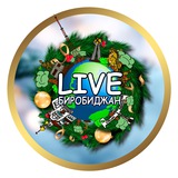 Аватар Телеграм канала: 🌳LIVE Биробиджан