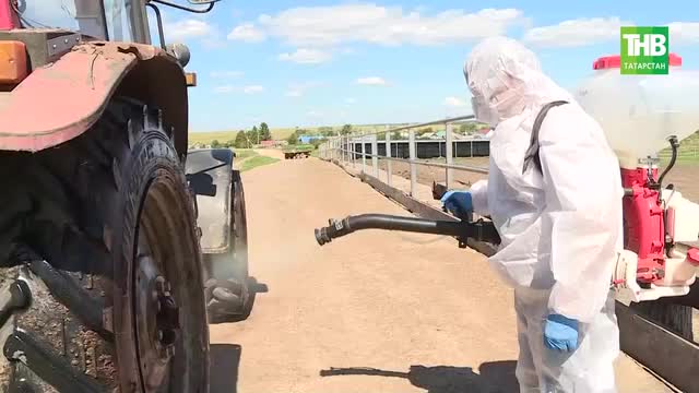 В Татарстане зарегистрировано 34 случая бруцеллеза с 2023 года