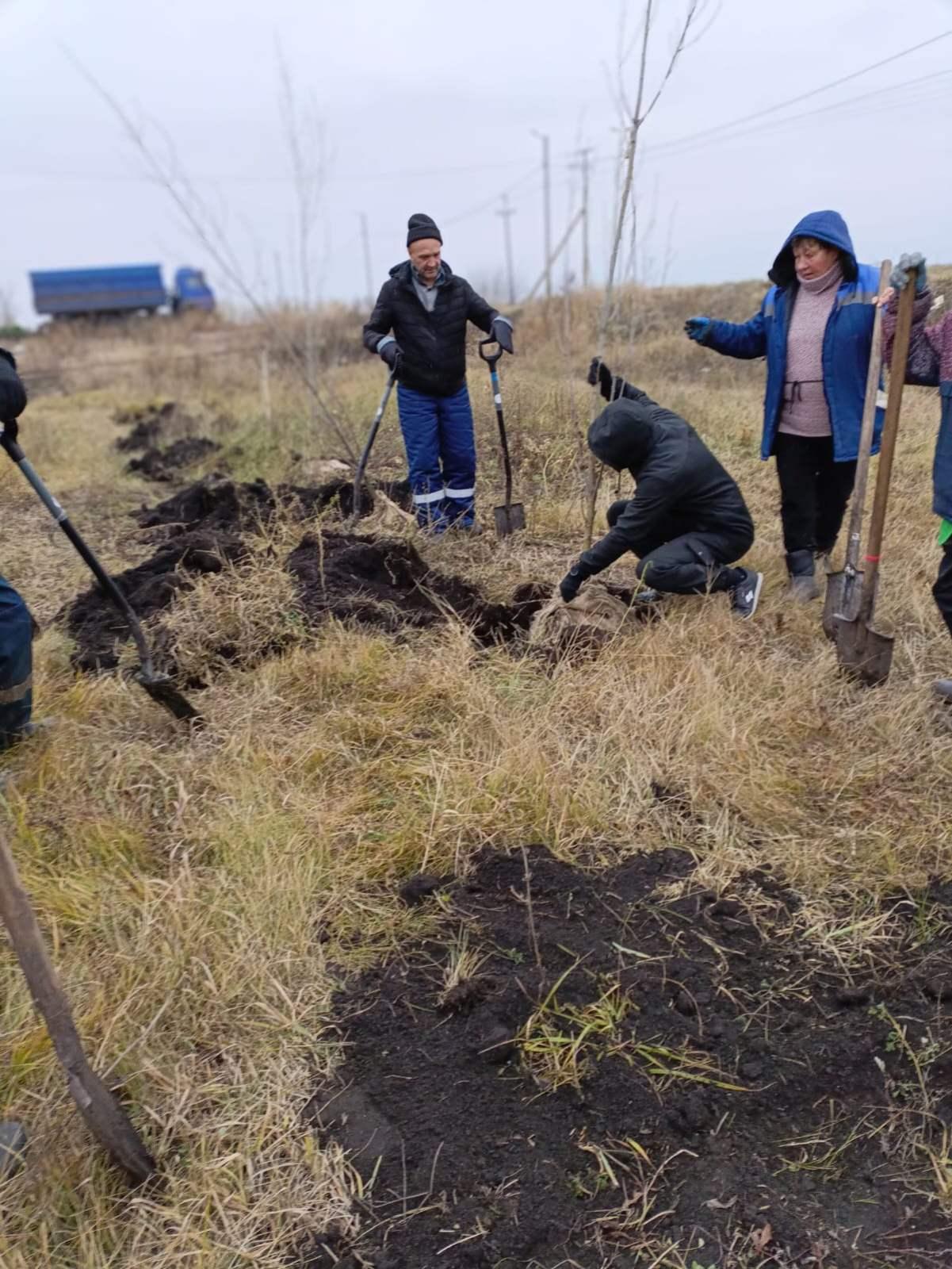 Бригада Городского центра по благоустройству и озеленению высадила 25 пирамидальных тополей на центральной улице поселка Луговое.  Этот вид тополей не имеет пуха и постепенно вытесняет обычные тополя, которые доставляют много неудобств жителям города.   Раннее 4 аналогичных дерева были посажены на улице Скочилова в рамках осенних работ по озеленению.