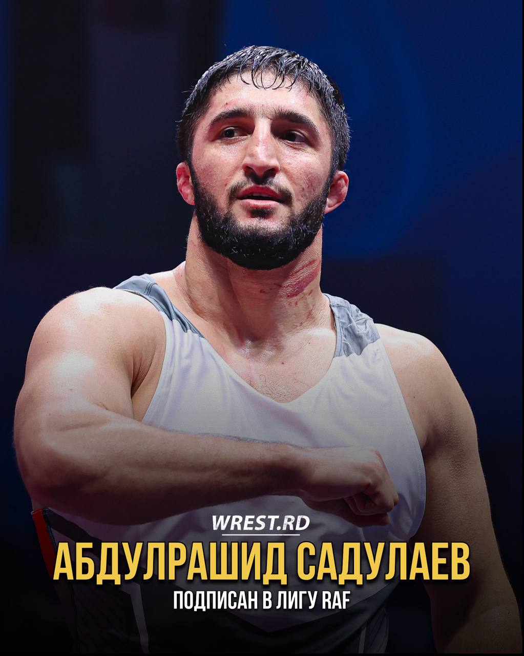 Абдулрашид Садулаев подписал контракт с американской лигой RAF Дебют двукратного олимпийского чемпиона в новом промоушене запланирован на май после чемпионата Европы сообщает wrest rd О желании побороться с Танком уже заявили Захид Валенсия Кайл Снайдер Гейбл Стивсон Бо Никал и другие американские борцы и бойцы ММА