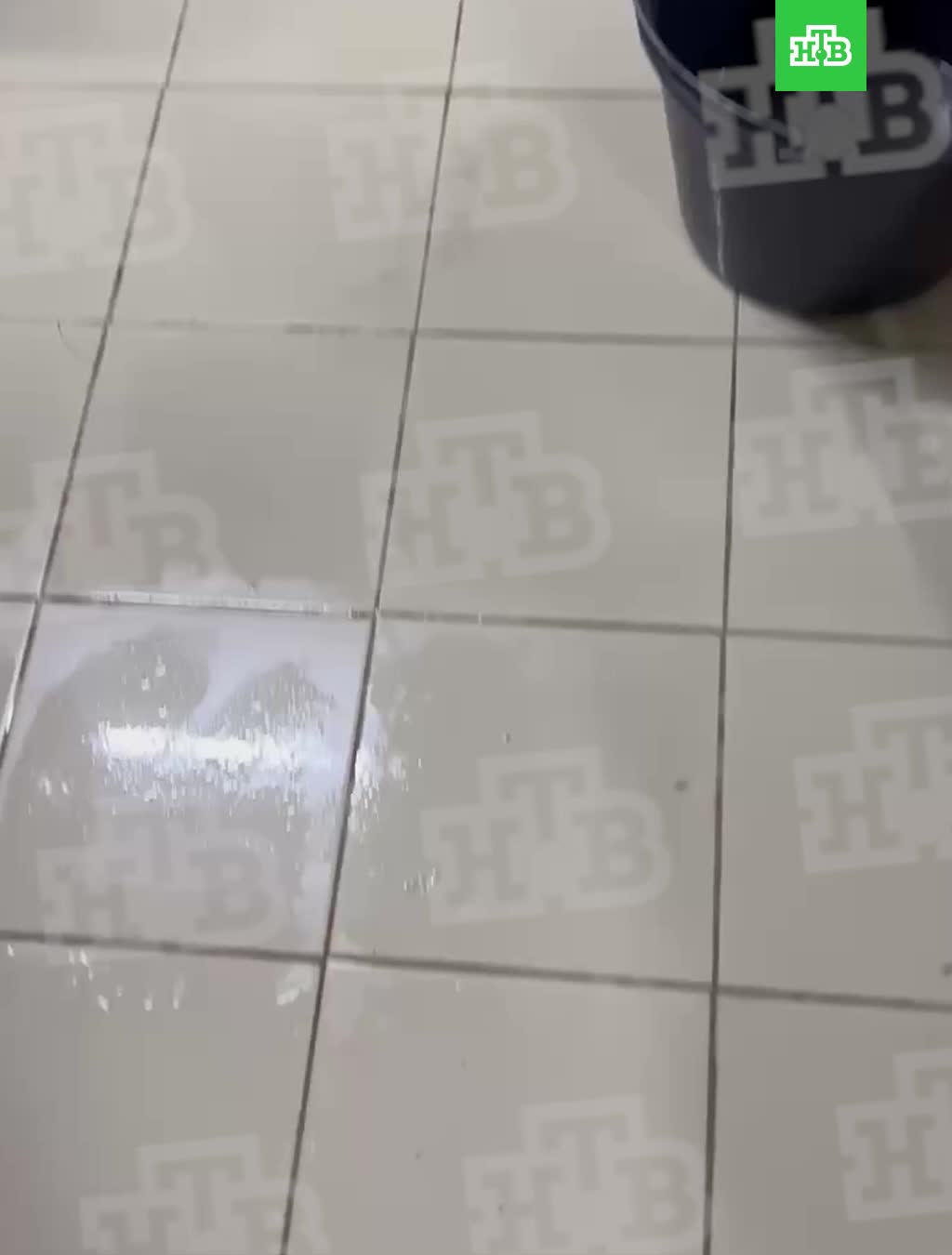 Коммунальные аварии в Владикавказе и Кронштадте: жильцы страдают от затоплений