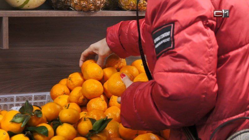 Россияне съедают шестую часть мирового импорта мандаринов По итогам девяти месяцев 2025 года Россия импортировала около 486 8 тысячи тонн мандаринов это 17 от всего импорта цитруса пишет РИА Новости со ссылкой на данные ООН Comtrade На втором месте расположились США 207 3 тысячи тонн 7 7 на третьем Великобритания 204 тысячи тонн 7 6 Знай наших Подписаться Прислать новость SiTV в MAX