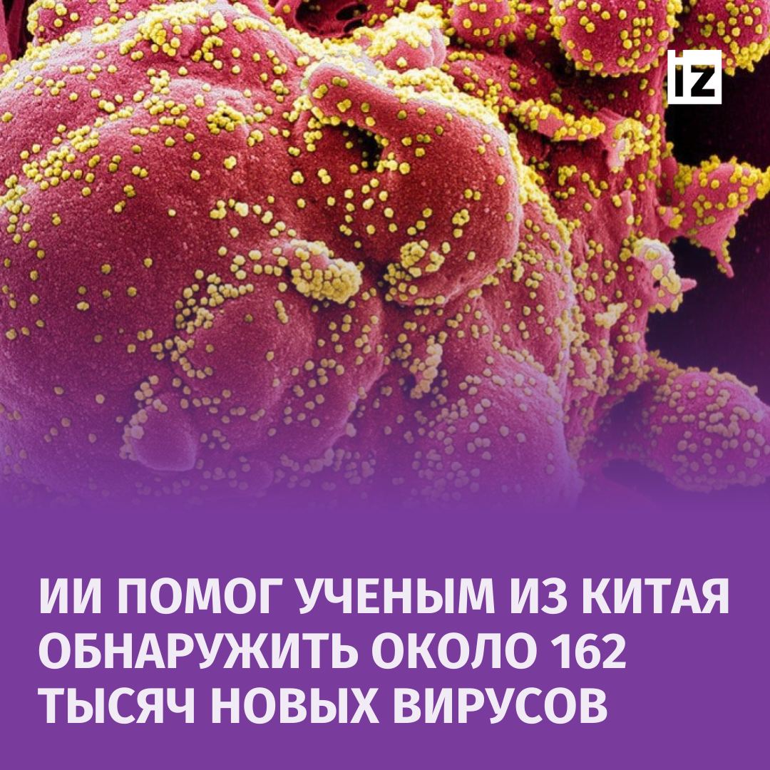 Китайский искусственный интеллект смог обнаружить почти 162 тыс. новых видов РНК-вирусов, анализируя информацию, уже загруженную в специальные базы данных.   Этот ИИ-инструмент позволил выявлять вирусы за одну секунду. Обнаруженные вирусы нашли в различных средах, включая атмосферу, горячие источники и гидротермальные жерла, что подчёркивает их разнообразие и способность выживать в экстремальных условиях.  Искусственный интеллект использует машинное обучение для анализа генетической информации и скрытых белковых структур, которые вирусы используют для репликации. Разработанный командой Alibaba Cloud Intelligence совместно с вирусологами, этот алгоритм значительно эффективнее традиционных методов по точности и скорости обнаружения вирусов.  Исследование стало крупнейшим в истории по количеству новых видов вирусов, опубликованных в одной научной работе.       Отправить новость