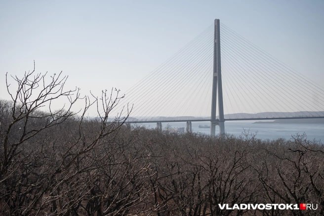 Прокуратура Приморского края добилась признания недействительным договора аренды земельного участка на Змеинке во Владивостоке где планировалось организовать производство мебели в рамках проекта по импортозамещению Соответствующее решение вынес Арбитражный суд Приморского края Речь идет об участке площадью 3 150 квадратных метров с кадастровым номером 25 28 030004 5913 расположенном по адресу Владивосток ул Поселковая 2 я д 34 Землю передали в аренду ООО Вымпел без проведения торгов Надзорное ведомство оспорило законность заключенного соглашения действуя в защиту интересов Владивостокского городского округа Резолютивная часть судебного решения по данному делу гласит что договор аренды земли на которой находится уникальная дубовая роща от 20 декабря 2023 года признали недействительным Более того суд постановил что компания Вымпел должна в течение 10 дней после вступления решения в силу передать участок администрации Владивостока оформив это актом приема передачи Также с ответчика взыскали 25 тысяч рублей государственной пошлины в доход федерального бюджета Решение может быть обжаловано в Пятом арбитражном апелляционном суду и далее в Арбитражном суде Дальневосточного округа  Подписаться в MAX