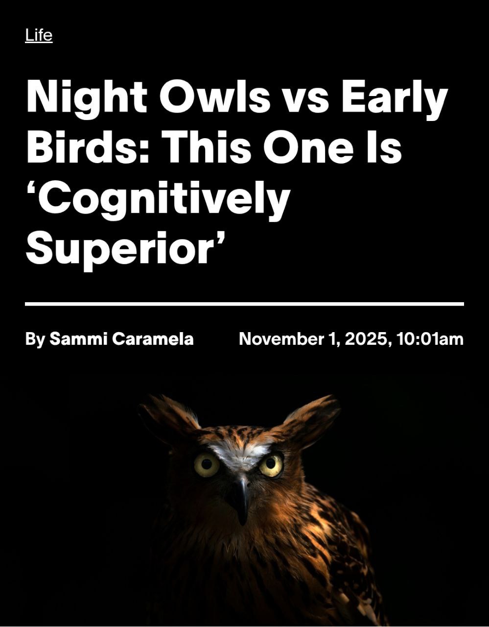 Позднее вставание показатель УМА как показало новое исслеование совы умнее жаворонков Ученые из Imperial College протестили 26 тысяч человек и пришли к выводу совы проходят логические тесты на 13 5 лучше быстрее сосредотачиваются и эффективнее обрабатывают сложную инфу Но есть нюанс из за работы с 8 утра совы попросту не могут раскрыть свой потенциал так что на практике они не отличаются от жаворонков Вы знаете кому переслать Технотренды