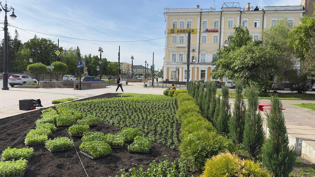 Омск продолжает преображаться к лету. Сегодня высадили около 20 тысяч цветов: на улицах Ленина, Лермонтова и Гагарина. Накануне велись работы на Лукашевича, Красном Пути, Валиханова и других улицах. Впервые применяют вертикальное озеленение — арочные конструкции с цветами появились вдоль улицы 60 лет Победы, их также устанавливают на улице Гагарина. С начала мая высадили уже свыше 110 тысяч растений. Всего в этом сезоне планируется украсить Омск как минимум 700 тысячами цветов. Работы планируют завершить к 15 июня. : пресс-центр администрации Омска Подписаться Написать в редакцию