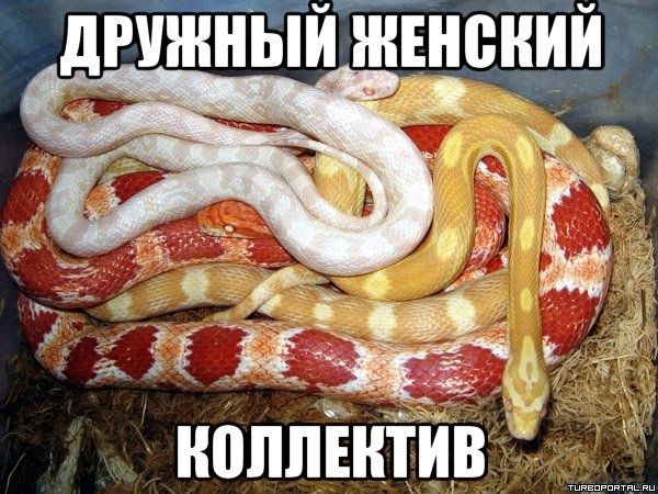Ростовчанка заказала похищение бывшей подруги — жертву сутки держали прикованной к кровати. Местная жительница, видимо, так и не смогла простить свою 61-летнюю подругу, что решилась на крайние меры — наняла целую банду из четырех мужчин 37, 36, 32 и 24 лет. Те, недолго думая, вломились к женщине, скрутили ее и затолкали в машину, предварительно заклеив номера. Дальше — больше. Жертву привезли в какой-то заброшенный сарай под Азовом, пристегнули наручниками к кровати и оставили там на целые сутки. Вся эта операция была спланирована заранее. Преступники даже рации прикупили, чтобы координировать действия. Но, как это обычно бывает, их план дал трещину — теперь дело уже в суде, и подсудимым предстоит ответить за этот беспредел. Подписаться Прислать новость