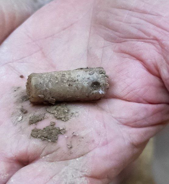 В Хохольском районе археологи нашли подвеску из раковины исчезнувшего 40 млн лет назад моллюска  Археологи экспедиции Института истории материальной культуры Российской академии наук в ходе раскопок стоянки Костенки 17 нашли уникальную подвеску. Украшение сделано из раковины окаменелого ортоцераса – головоногого моллюска, который исчез более 40 млн лет назад. Находка не имеет аналогов, поэтому считается уникальной.   Удивительно, что на подвеске сохранились следы красной охры на раковине моллюска. Чтобы сохранить следы древней окраски, находку не стали очищать. Подвеску детально изучат трасологи – специалисты, которые изучают следы человеческой деятельности на древних артефактах.