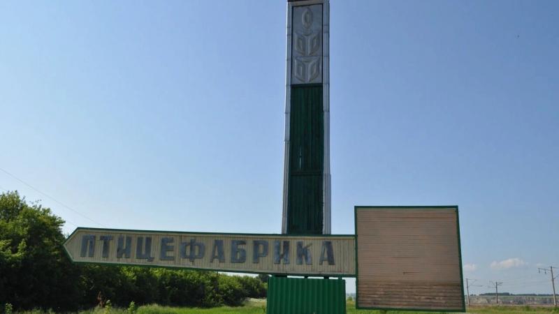 В Рыбинском районе приостанавливает работу Налобинская птицефабрика. Всё из-за резкого снижения закупочных цен на куриное яйцо, которое сделало производство убыточным. Об этом сообщила газета «Голос времени». Заместитель министра сельского хозяйства региона Сергей Шекк уточнил, что за прошлый квартал цена десятка яиц снизилась на 63%. Это привело к тому, что расходы птицефабрики превысили её доходы. Сейчас на предприятии бесплатно раздают кур-несушек. Получить птиц можно до 10 августа, после чего оставшихся кур отправят на утилизацию. Подробнее – на Бабре #красноярск