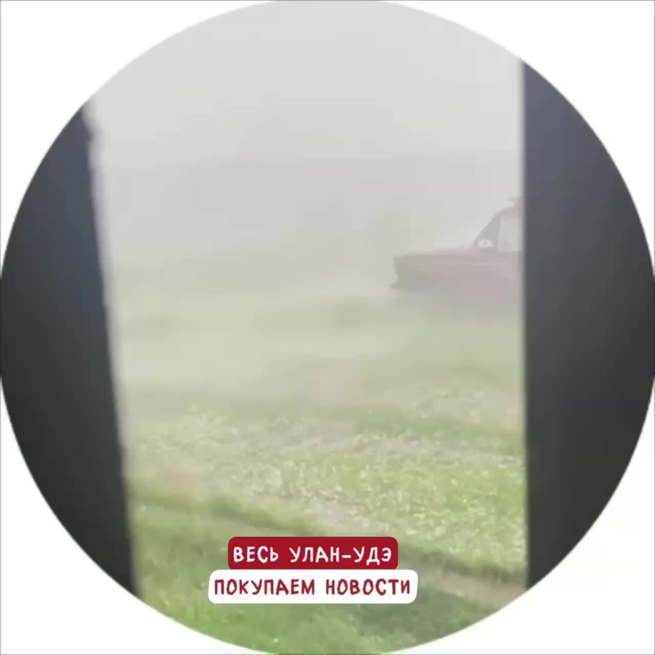 Ураганный ветер повалил деревья на машины в Улан-Удэ