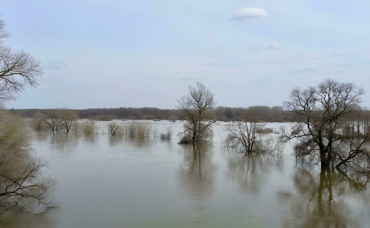 На Камчатке у трех населенных пунктов растет уровень воды в реках В МЧС полагают, что подтопление сел и поселков пока не ожидается В ведомстве со ссылкой на гидрологов Камчатгидрометцентра сообщают, что прогнозируется ухудшение гидрологической обстановки в Усть-Большерецком округе и Соболевском районе. Подробности по ссылке: