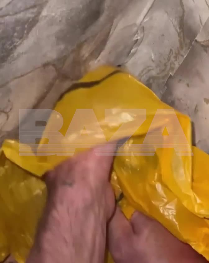 Гадюка, жившая в доме на Кубани, была найдена после года скрытности