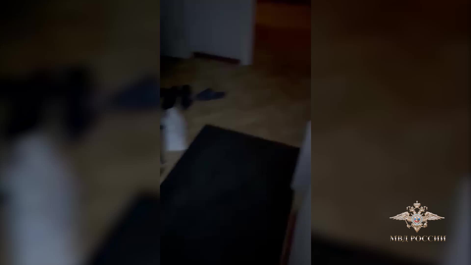 В Подмосковье ликвидирован подпольный цех по производству жидкости для вейпов с изъятием товаров на миллиард рублей